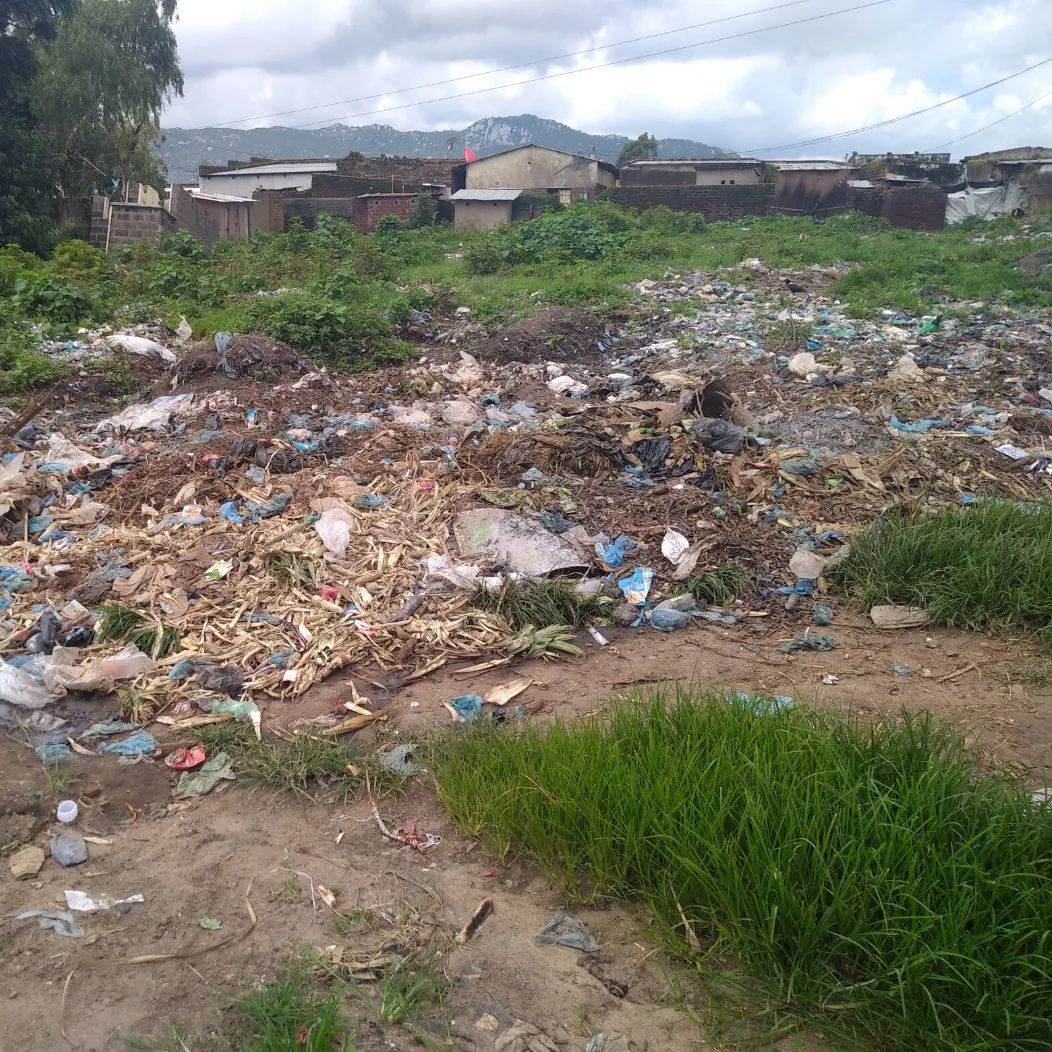 Not everybody would look at the piles of waste rotting behind Tsangano market in Malawi